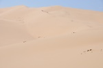 mon_8015.jpg