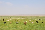 mon_8154.jpg