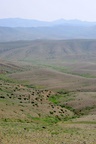 mon_8335.jpg