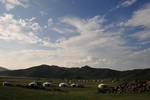 mon_8454.jpg