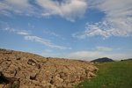 mon_8456.jpg
