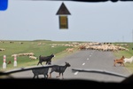 A paved road!