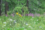 mon_8584.jpg