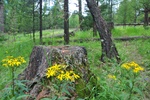 mon_8586.jpg