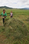 A nomad family we stopped to chat to are making hay for the winter