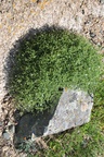 mon_8800.jpg