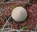 mon_8820.jpg