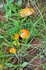 mon_8822.jpg