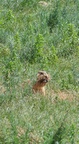mon_8854.jpg
