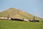 mon_8909.jpg