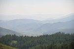 mon_8929.jpg