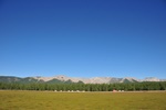mon_8942.jpg