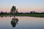 nt1_5721__107_.jpg