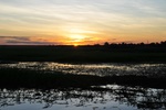nt1_5721__113_.jpg