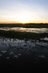 nt1_5721__119_.jpg