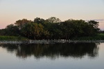 nt1_5721__126_.jpg