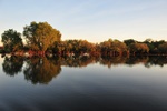 nt1_5721__142_.jpg