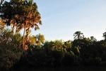 nt1_5721__154_.jpg