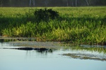 nt1_5721__170_.jpg