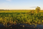 nt1_5721__182_.jpg