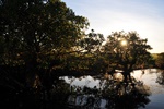 nt1_5721__184_.jpg