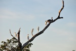 nt1_5721__198_.jpg