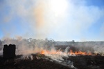 The fire spreads at a fast pace