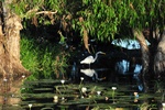 nt1_5721__301_.jpg