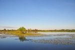 nt1_5721__306_.jpg