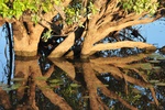 nt1_5721__311_.jpg