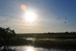 nt1_5721__323_.jpg