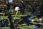 nt1_5721__325_.jpg