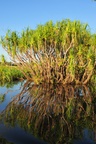 nt1_5721__340_.jpg