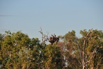 nt1_5721__358_.jpg