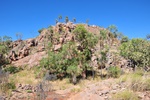 nt1_5721__35_.jpg