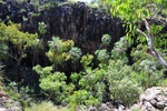 nt1_5721__41_.jpg
