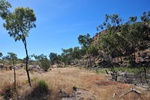 nt1_5721__44_.jpg