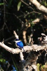nt1_5721__473_.jpg