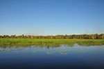 nt1_5721__498_.jpg