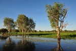 nt1_5721__504_.jpg