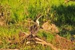 nt1_5721__506_.jpg