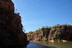nt1_5721__50_.jpg