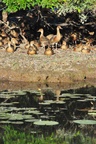nt1_5721__533_.jpg