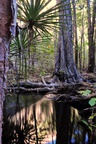 nt1_5721__60_.jpg
