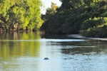 nt1_5721__617_.jpg