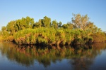 nt1_5721__653_.jpg
