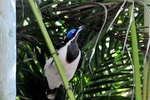 nt1_5721__66_.jpg