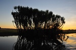 nt1_5721__692_.jpg