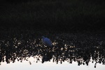 nt1_5721__73_.jpg