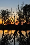 nt1_5721__740_.jpg